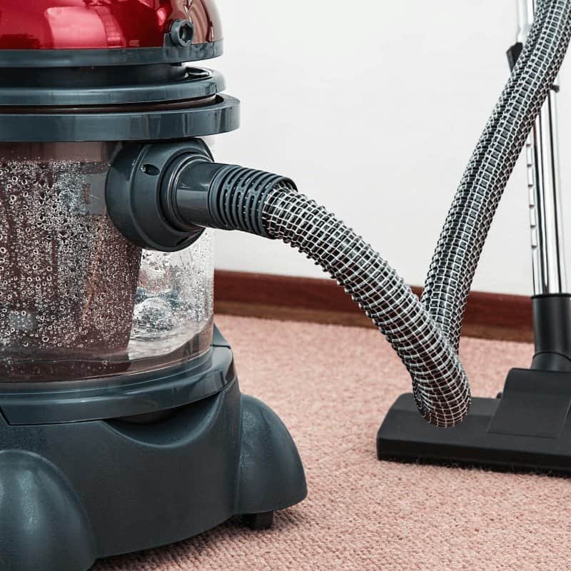 Carpet Cleaning  at {{name}} in {{location}}